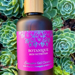 Botanique Skin Nutrition Enzyme Gel Cleanser